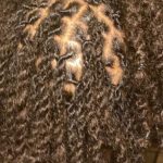 How to Comb Out Locs Without Damaging Your Hair: The Royal Guide by Empress Locs of Royalty